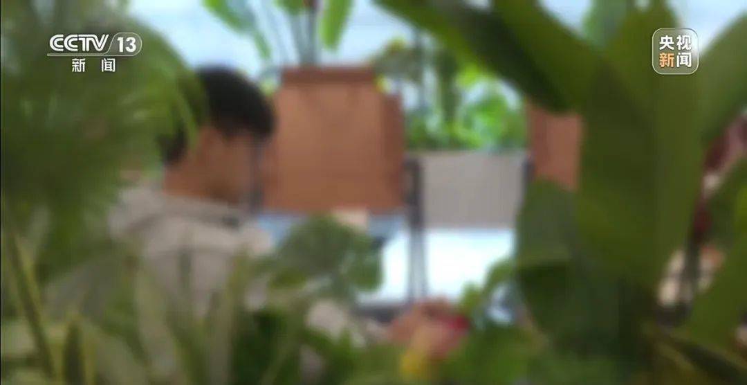 足球平台出租网
_细节披露！18岁高中生被骗至缅甸：不听话白天暴晒晚上挨打足球平台出租网
，被迫去搞网恋诈骗