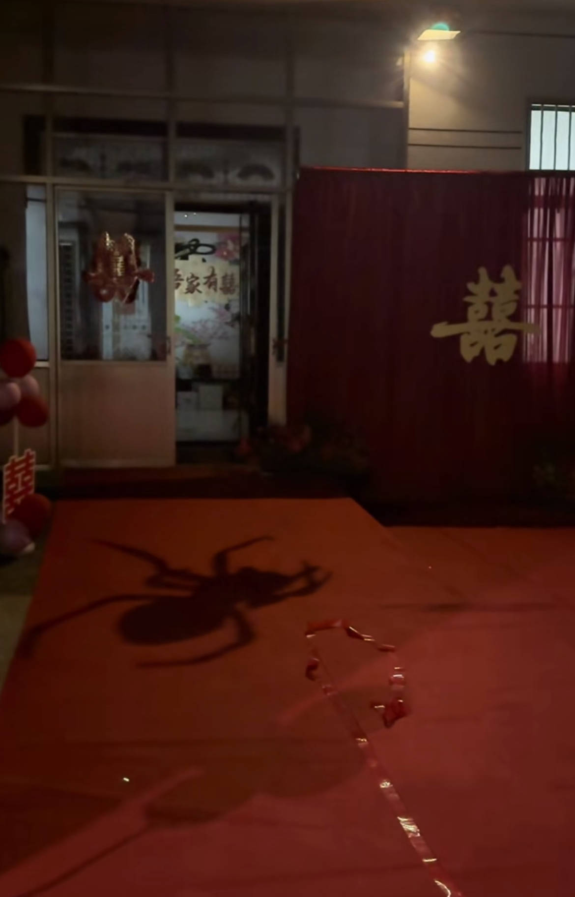 皇冠信用盘怎么申请_山东一新娘家凌晨出现巨大蜘蛛的倒影皇冠信用盘怎么申请，拍摄者：蜘蛛爬在灯泡上，网友：这才是喜结连理