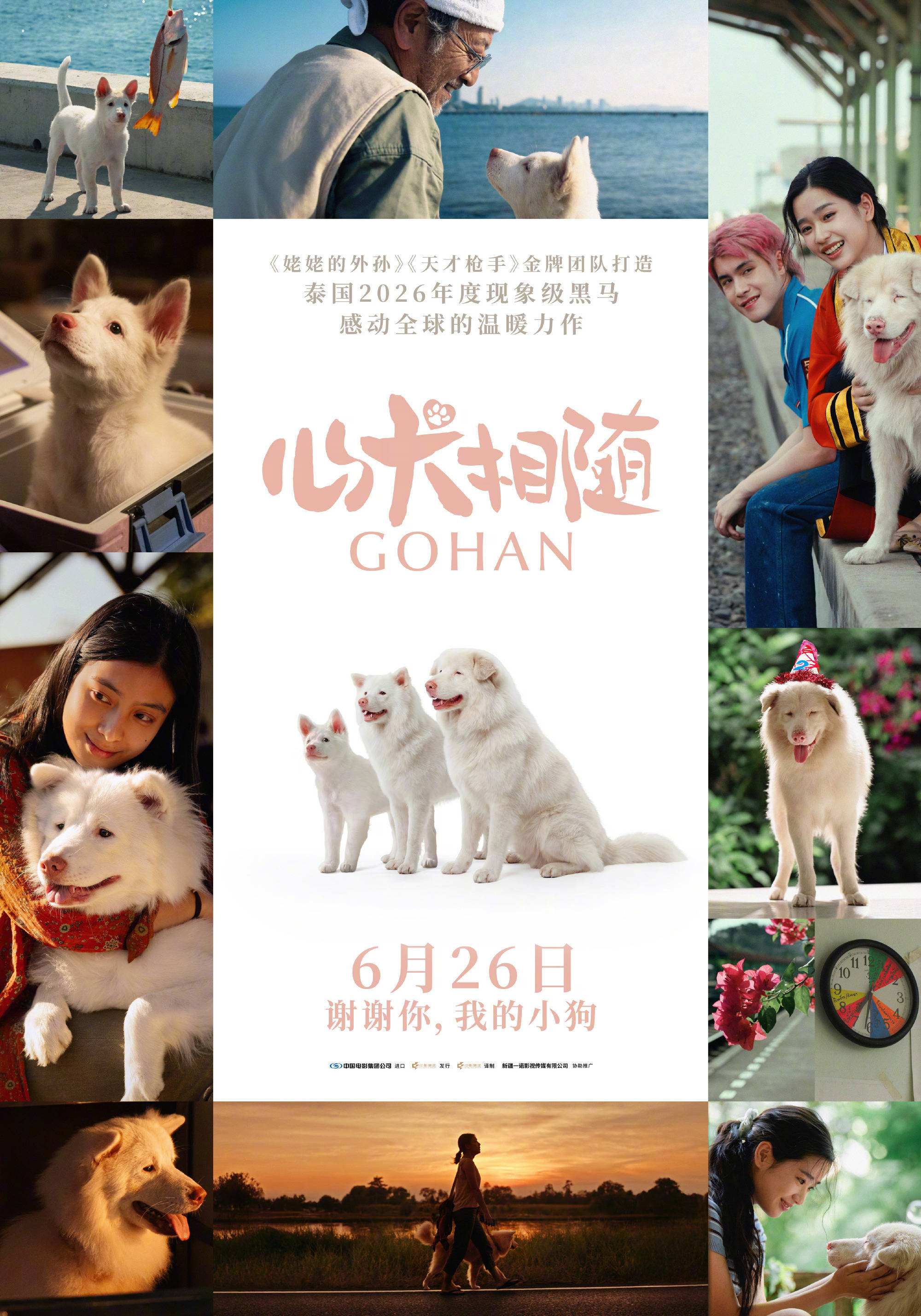 世界杯买球网址
_泰国现象级票房黑马《心犬相随》内地定档6月26日 《天才枪手》《姥姥的外孙》团队打造